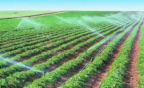 操屄插逼靠干农田高 效节水灌溉